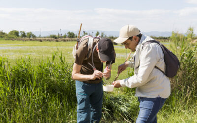 Vector borne disease in times of global change: how to use wetlands across Europe as sentinel sites?