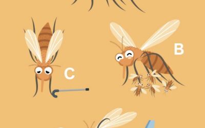 Sand Flies: A Dangerous Insect on a Changing Planet
