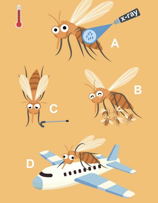 Sand Flies: A Dangerous Insect on a Changing Planet