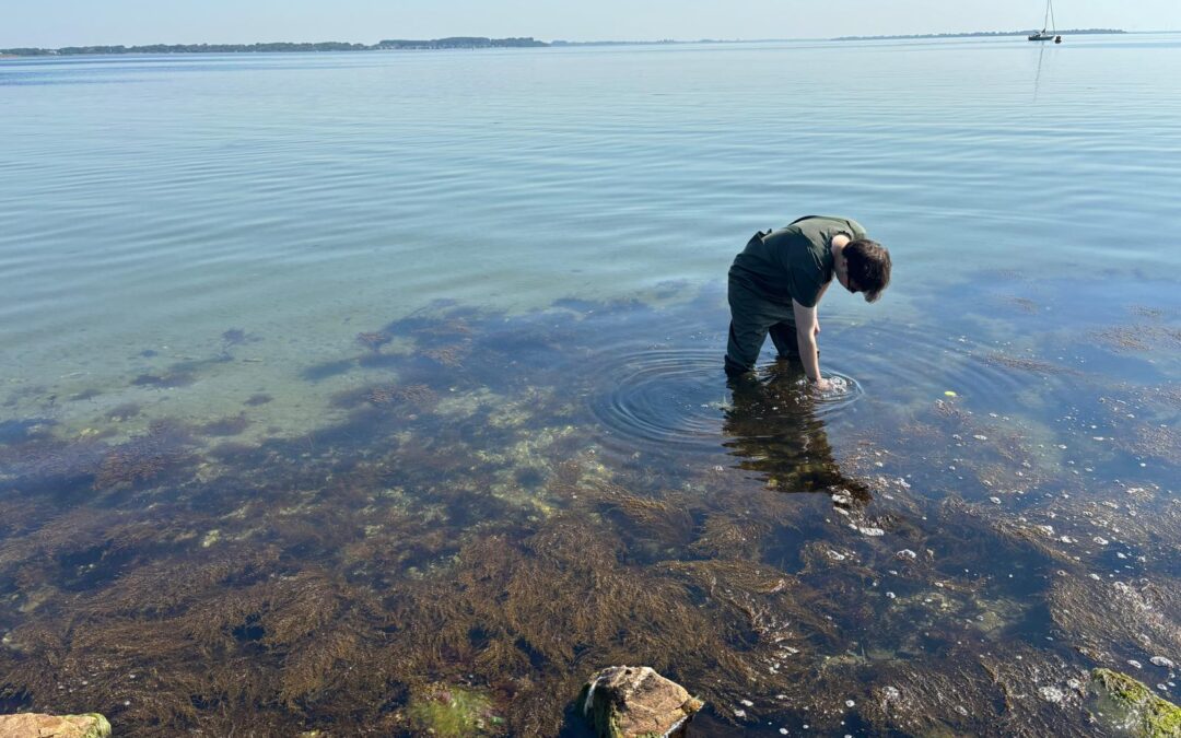 Staying safe in a changing ocean