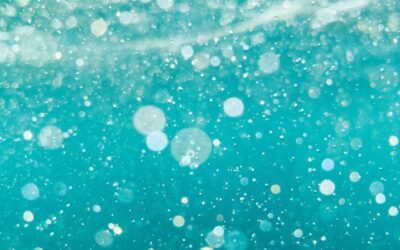 Viruses and bacteria travel on wet wipes and microplastics into coastal waters